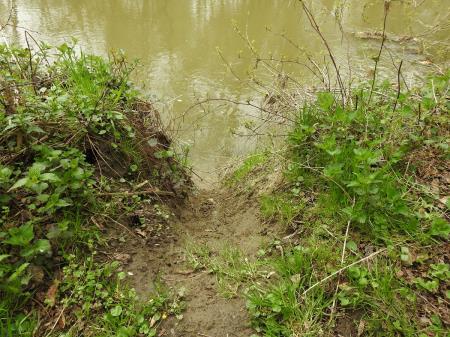 7. april, mednarodni dan bobra in Dan za spremembe 10